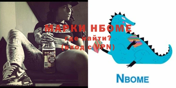 индика Баксан