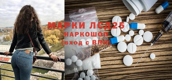 индика Баксан