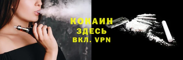 индика Баксан
