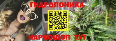 ECSTASY Чебоксары