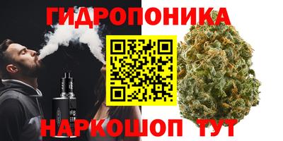 ПСИЛОЦИБИНОВЫЕ ГРИБЫ Чебаркуль