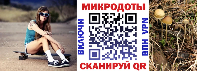 кракен зеркало  купить закладку  маркетплейс Telegram  Псилоцибиновые грибы Magic Shrooms  Баксан 